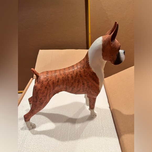 Never displayed, beautiful Boxer model. - Picture 4 of 9